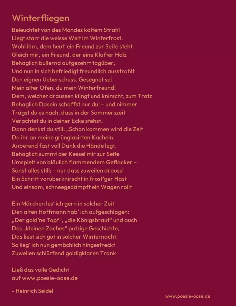 Winterfliegen