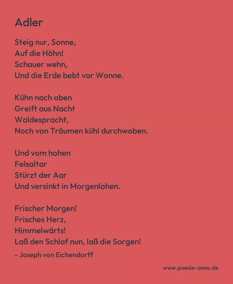 Gedicht: Adler von Joseph von Eichendorff