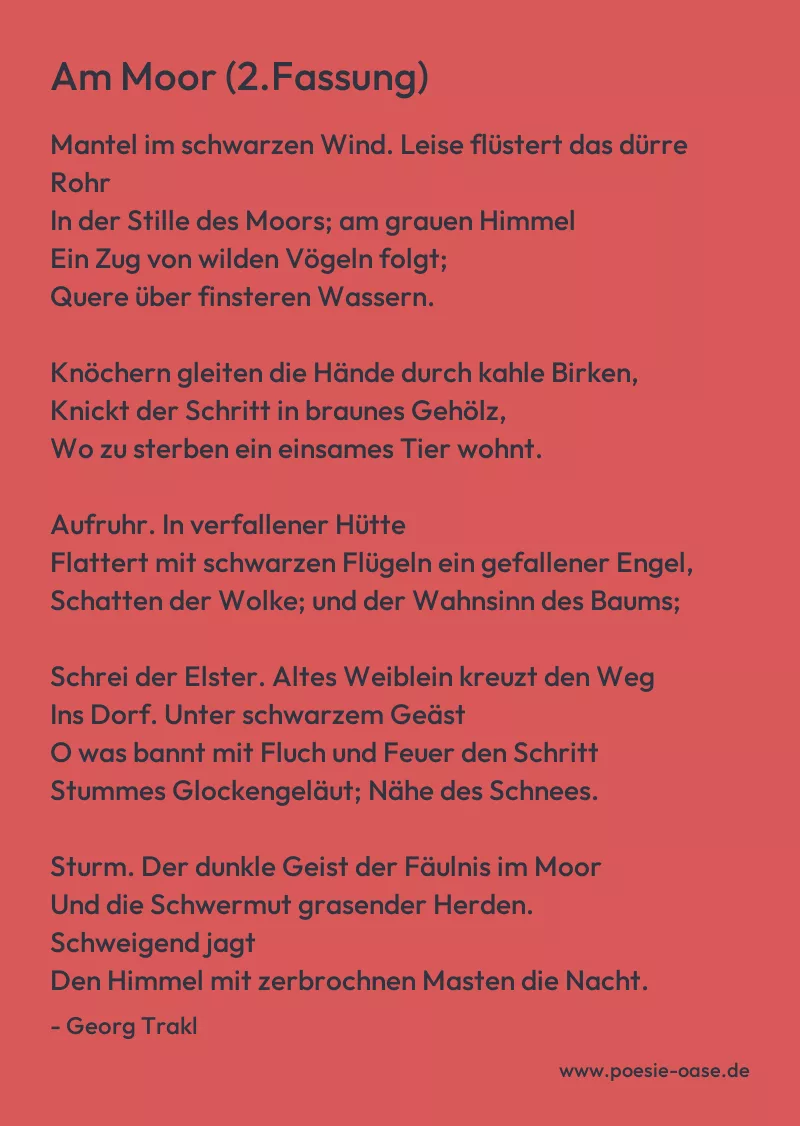 Gedicht: Am Moor (2.Fassung) von Georg Trakl