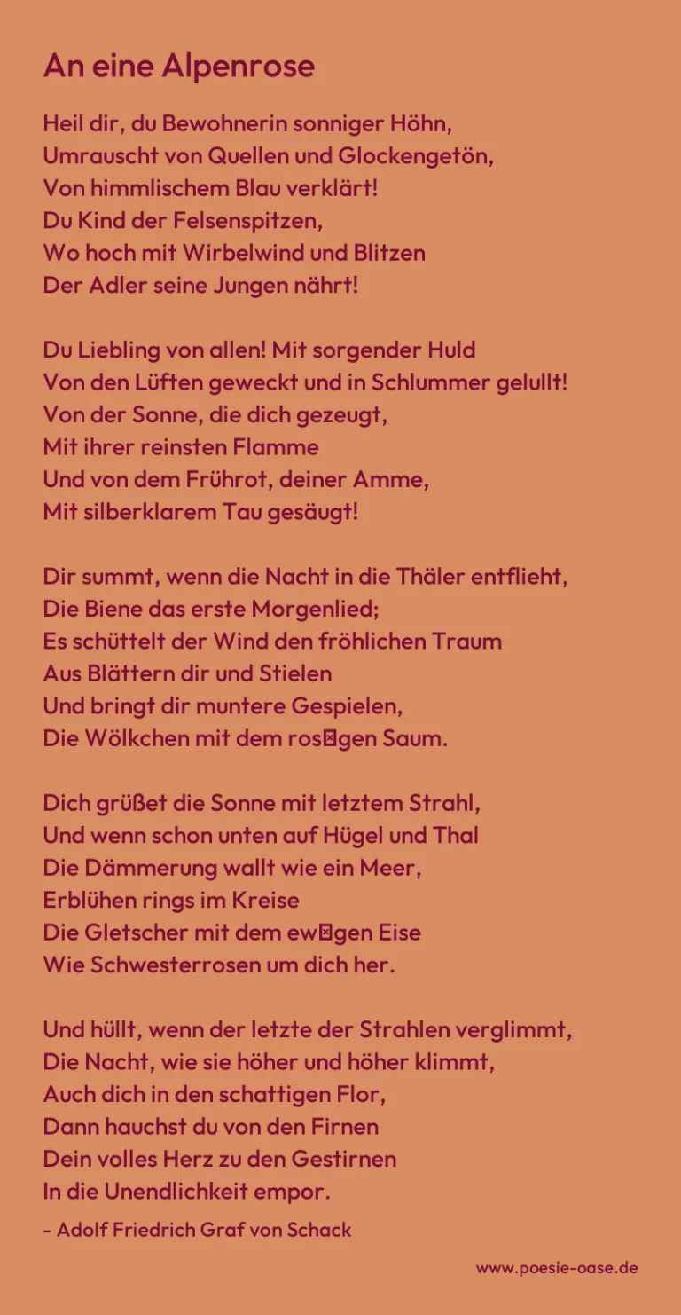 An eine Alpenrose