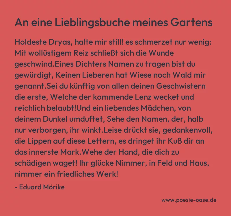 Gedicht: An eine Lieblingsbuche meines Gartens von Eduard Mörike