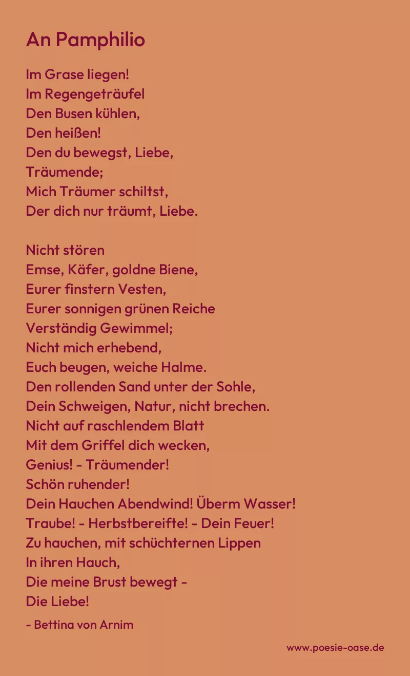 Gedicht: An Pamphilio von Bettina von Arnim