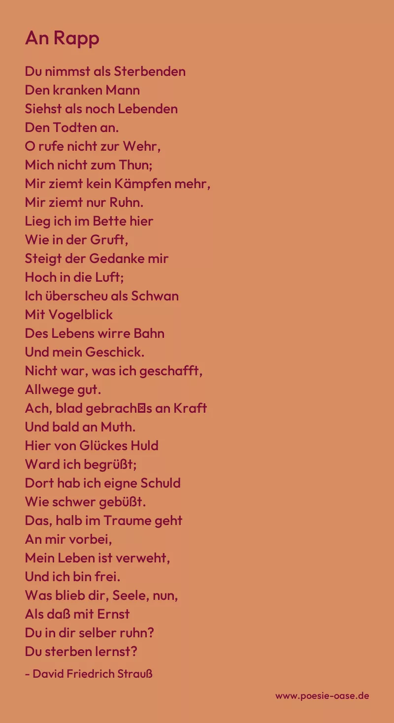 Gedicht: An Rapp von David Friedrich Strauß