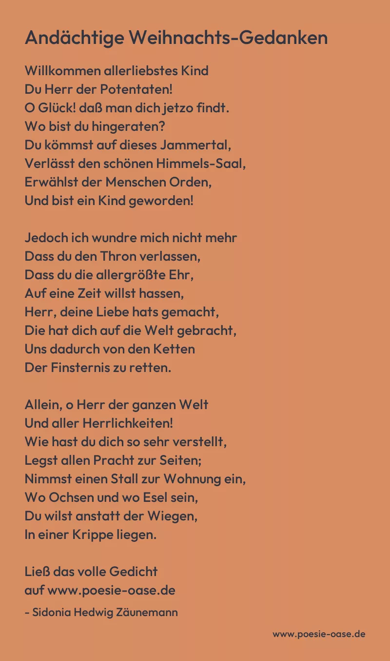 Gedicht: Andächtige Weihnachts-Gedanken von Sidonia Hedwig Zäunemann