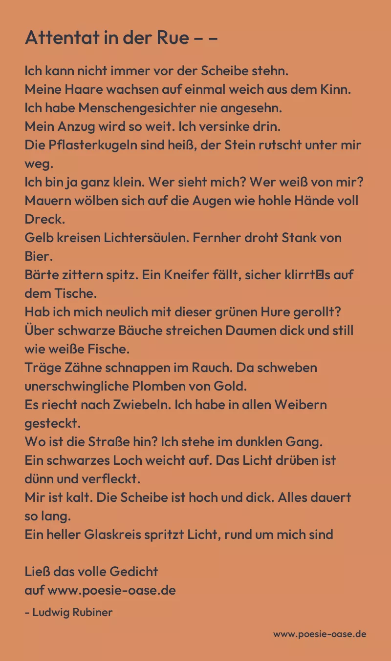 Gedicht: Attentat in der Rue – – von Ludwig Rubiner
