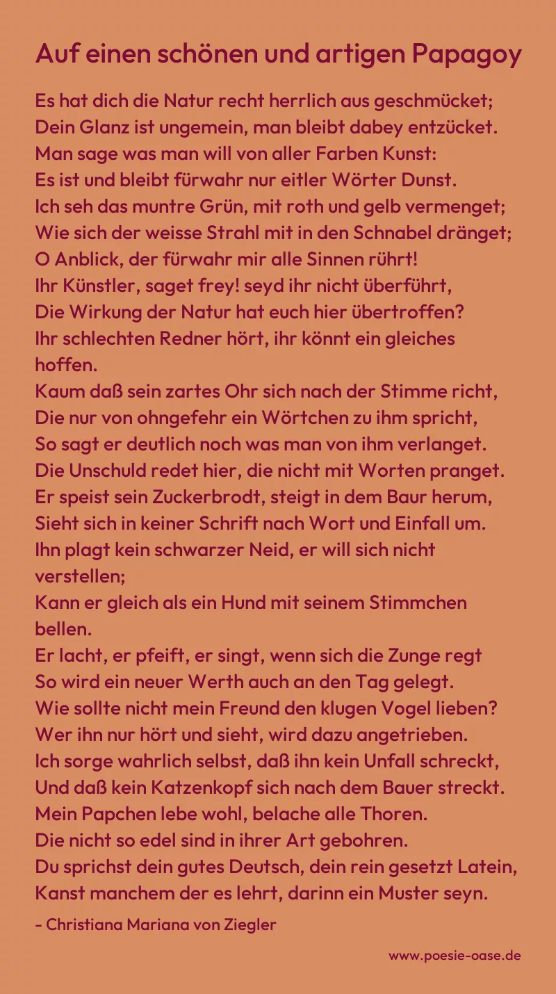 Gedicht: Auf einen schönen und artigen Papagoy von Christiana Mariana von Ziegler