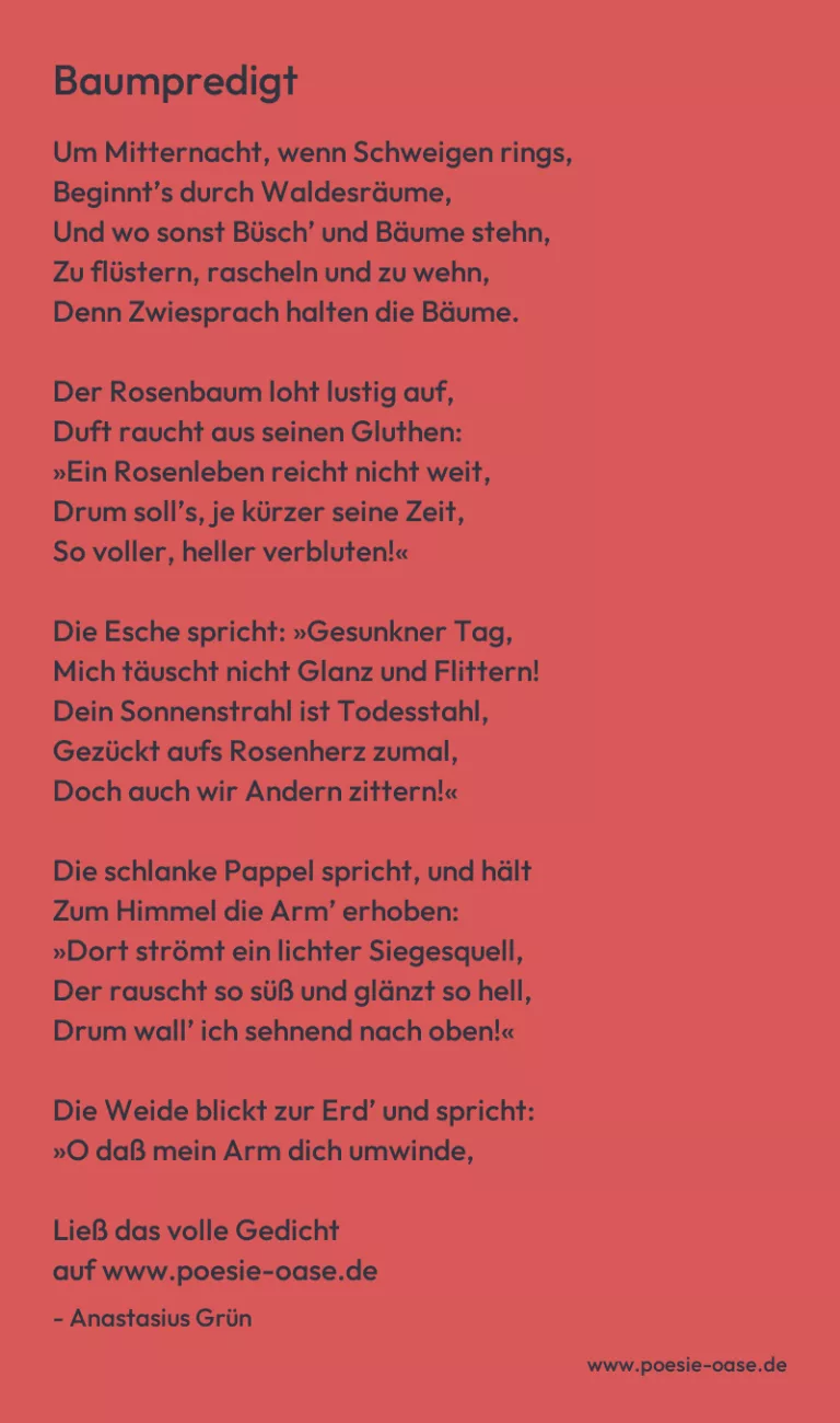 Baumpredigt