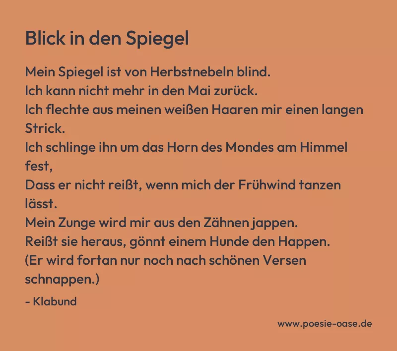 Gedicht: Blick in den Spiegel von Klabund