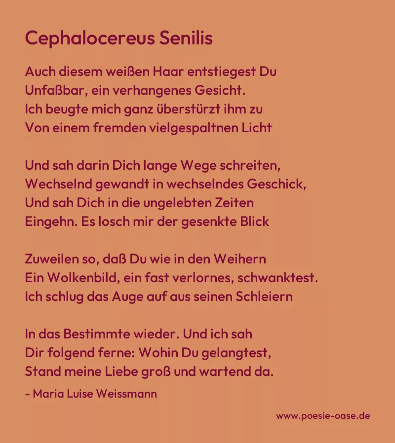 Gedicht: Cephalocereus Senilis von Maria Luise Weissmann