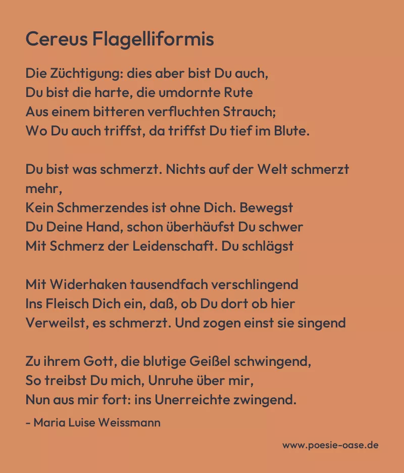 Gedicht: Cereus Flagelliformis von Maria Luise Weissmann