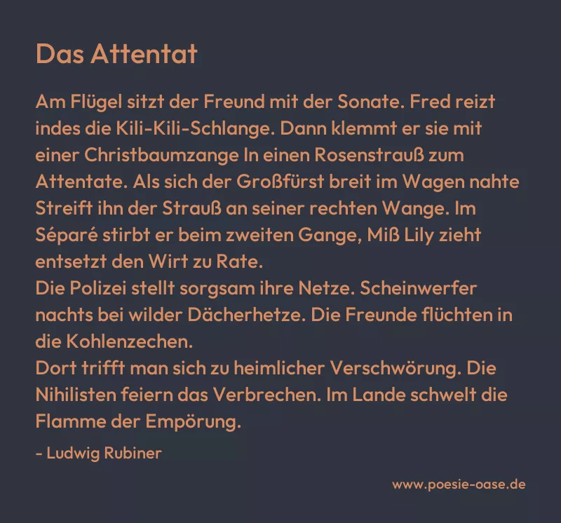 Gedicht: Das Attentat von Ludwig Rubiner