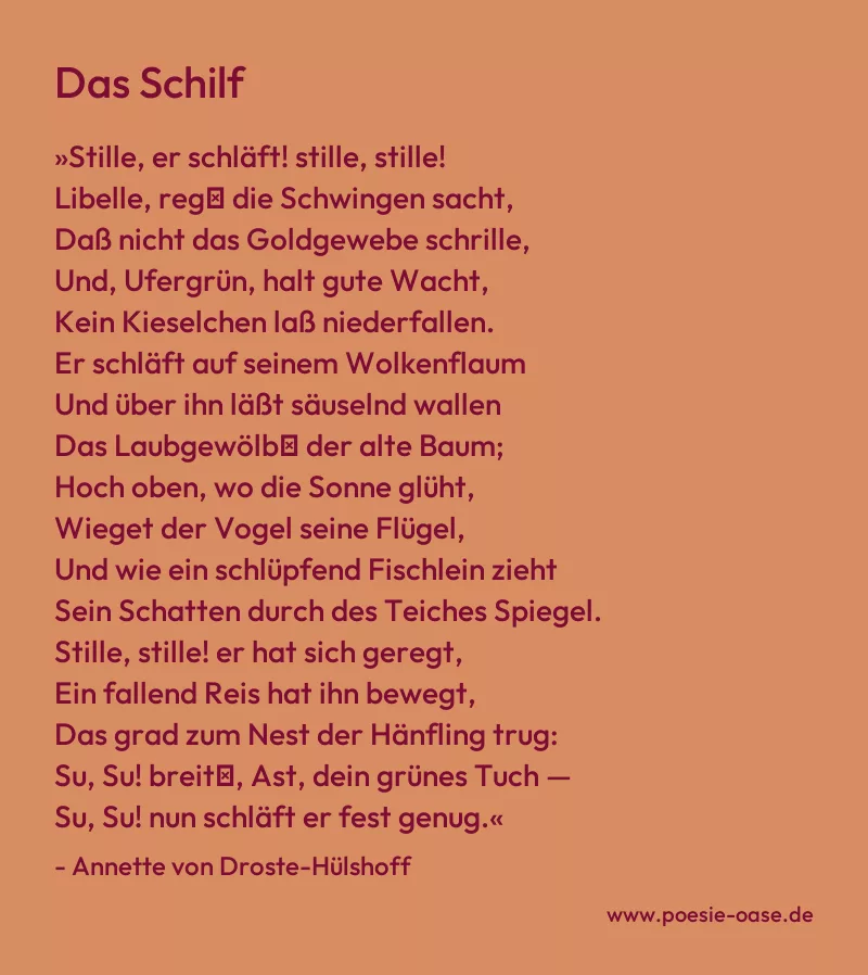 Gedicht: Das Schilf von Annette von Droste-Hülshoff