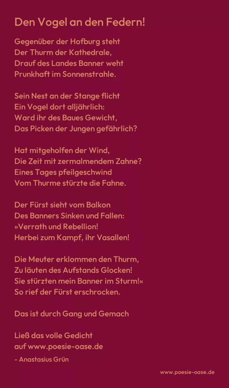 Den Vogel an den Federn!
