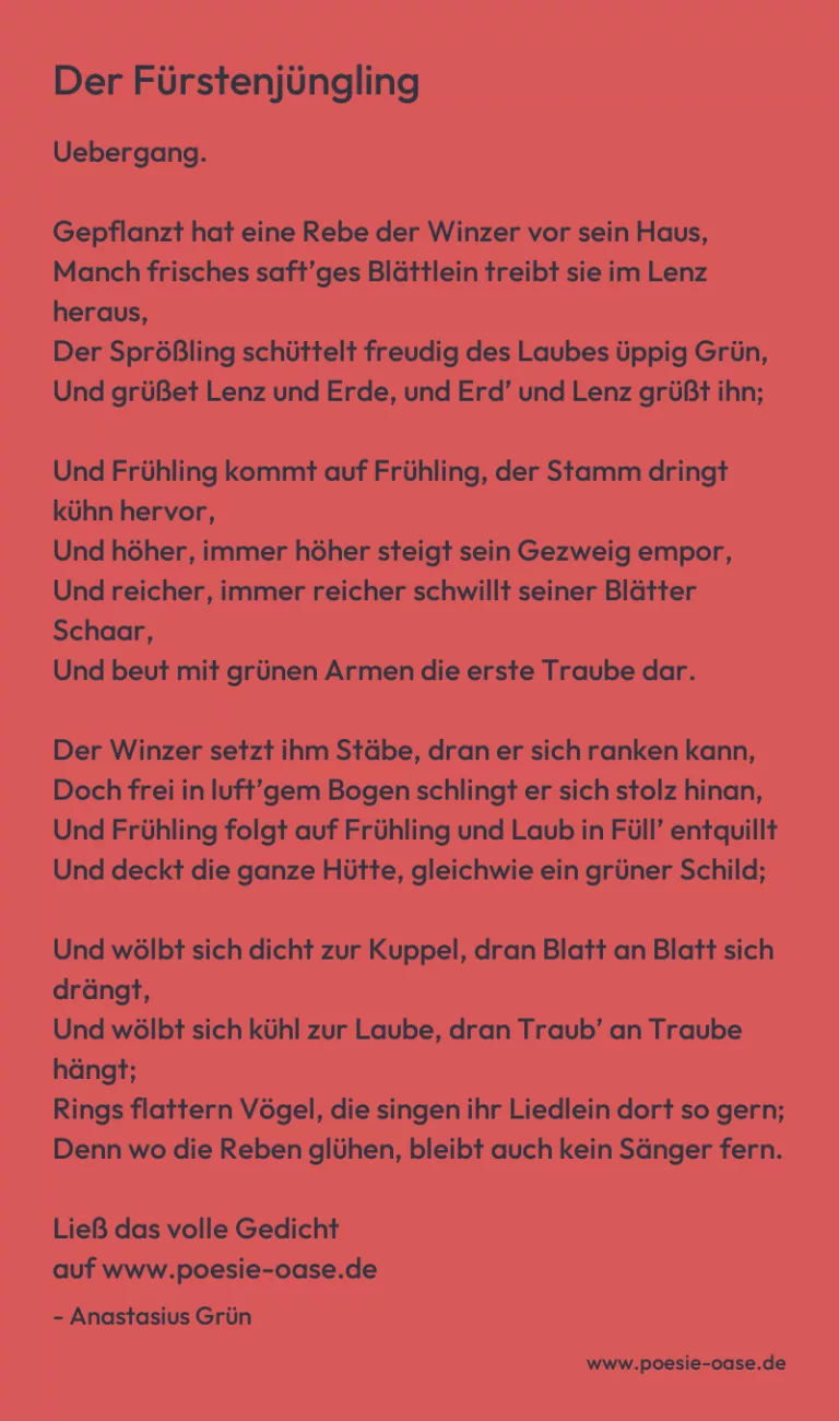 Der Fürstenjüngling