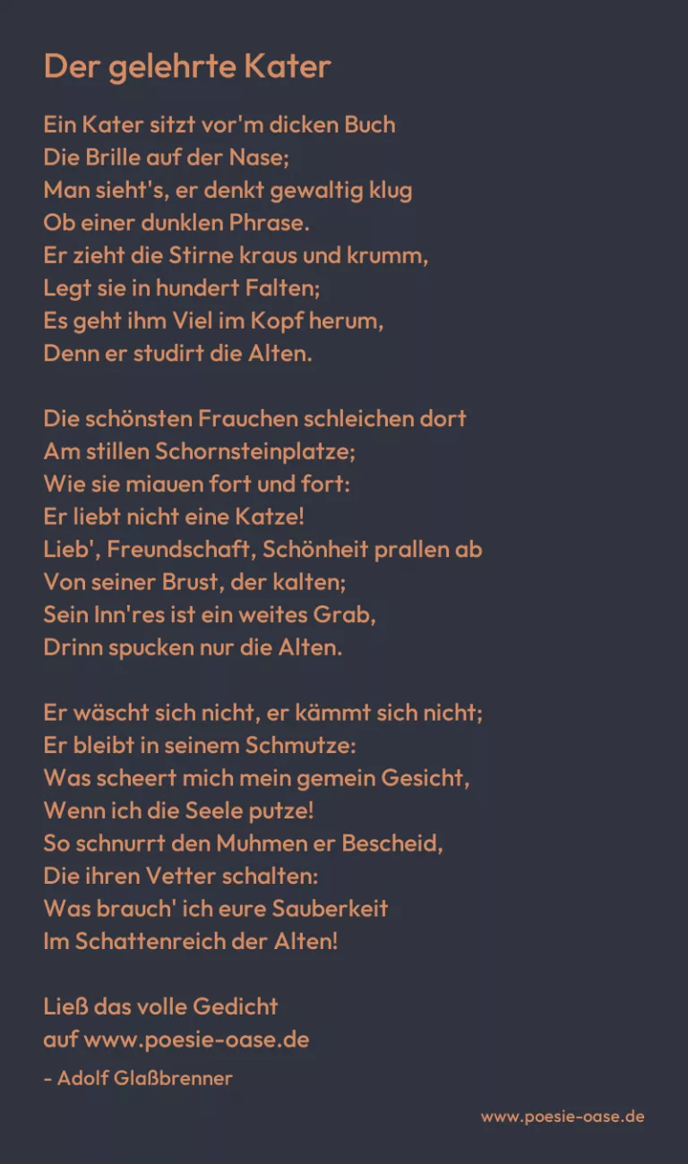 Der gelehrte Kater