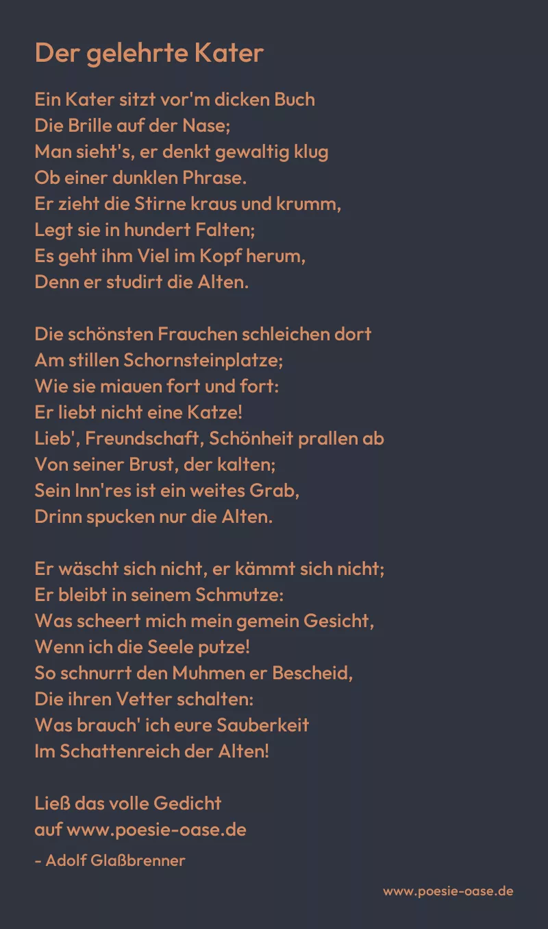Gedicht: Der gelehrte Kater von Adolf Glaßbrenner