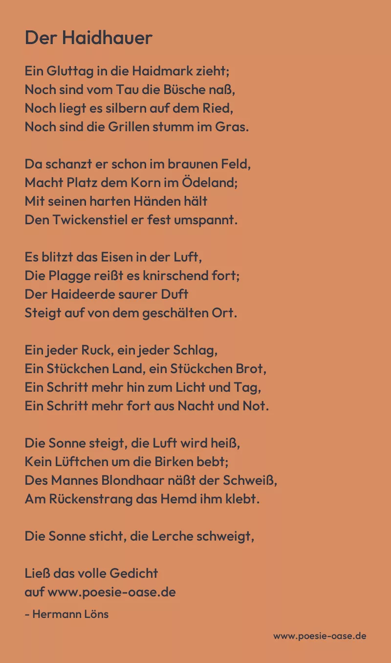 Gedicht: Der Haidhauer von Hermann Löns