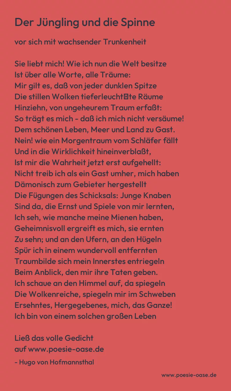 Gedicht: Der Jüngling und die Spinne von Hugo von Hofmannsthal