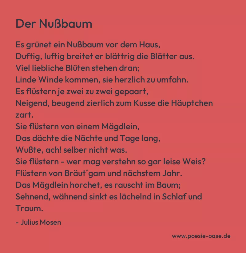 Gedicht: Der Nußbaum von Julius Mosen