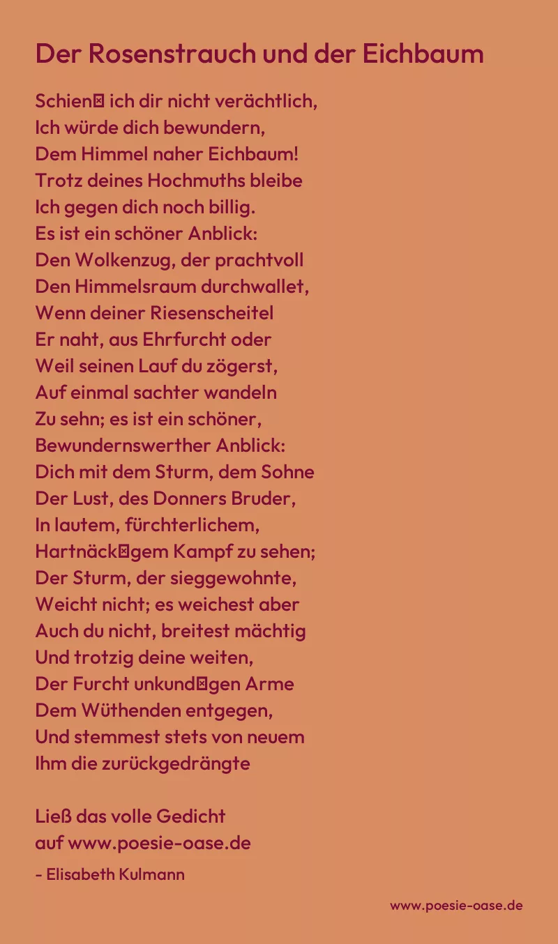 Gedicht: Der Rosenstrauch und der Eichbaum von Elisabeth Kulmann