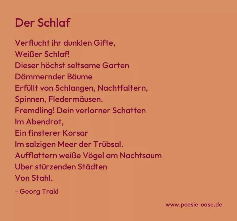 Gedicht: Der Schlaf von Georg Trakl