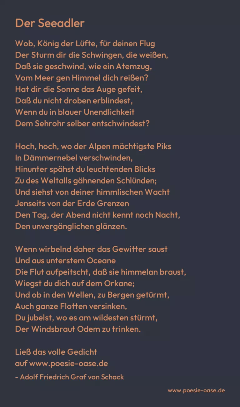Der Seeadler