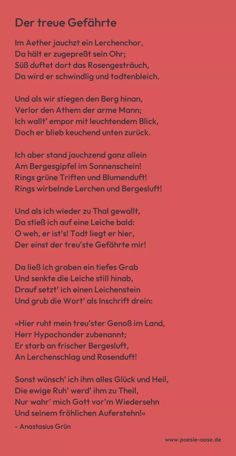 Der treue Gefährte