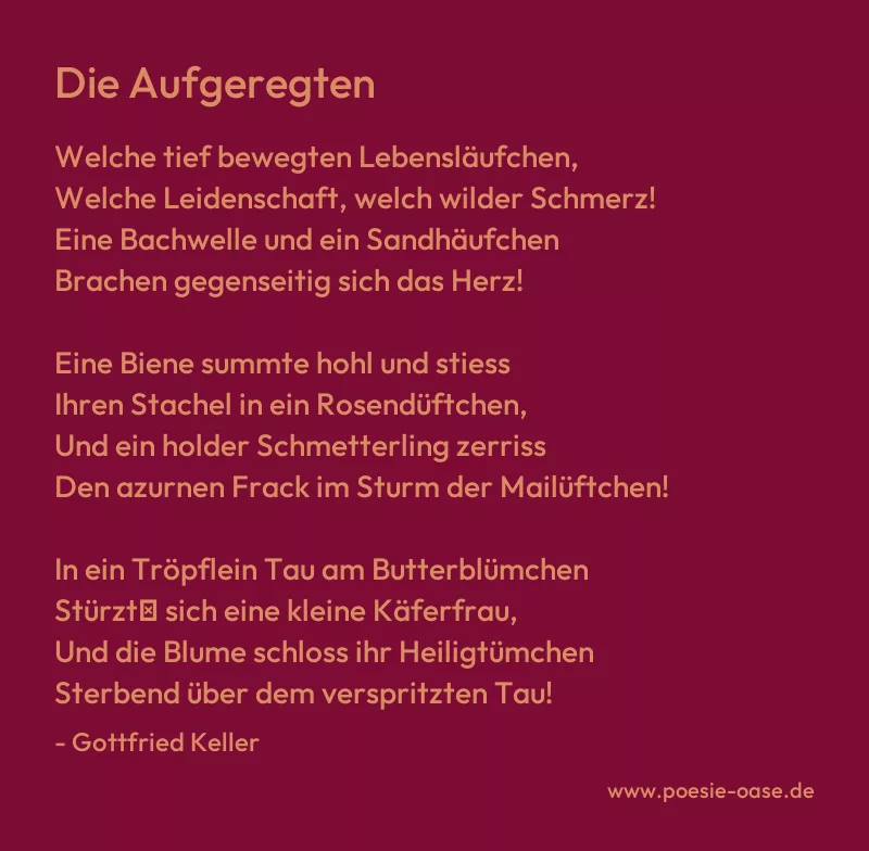Gedicht: Die Aufgeregten von Gottfried Keller