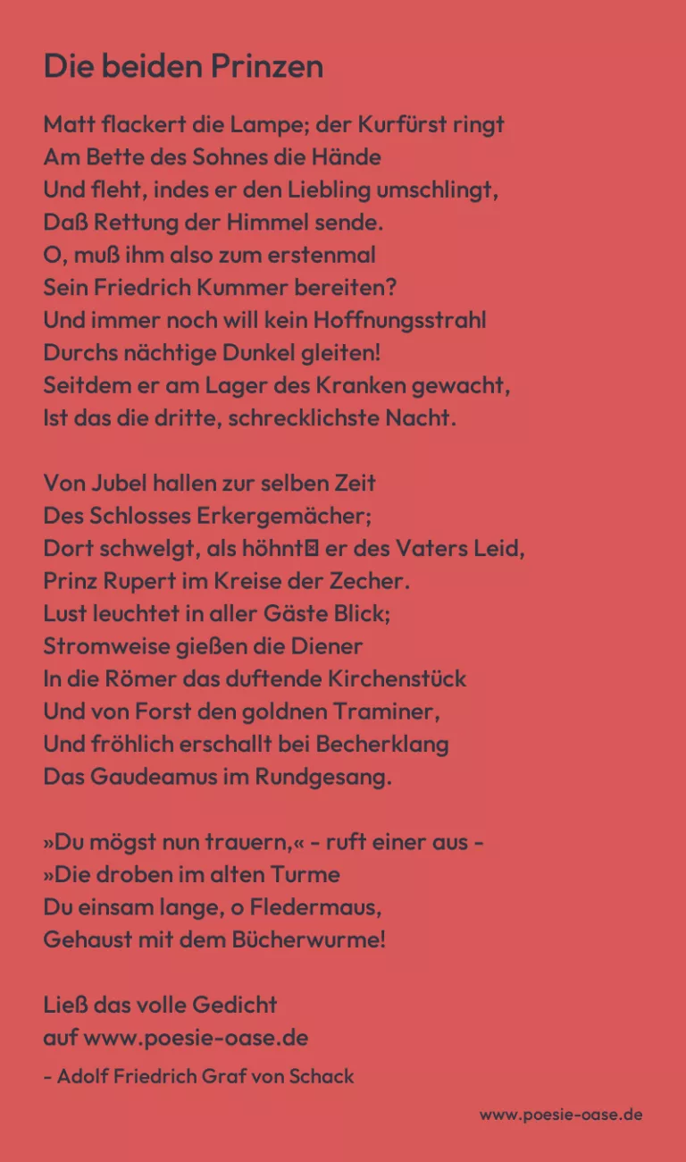 Die beiden Prinzen