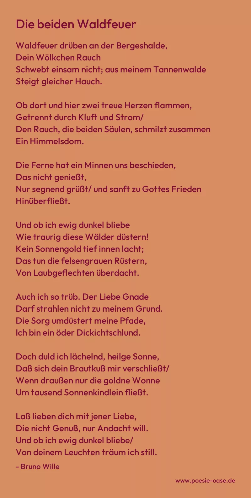 Gedicht: Die beiden Waldfeuer von Bruno Wille