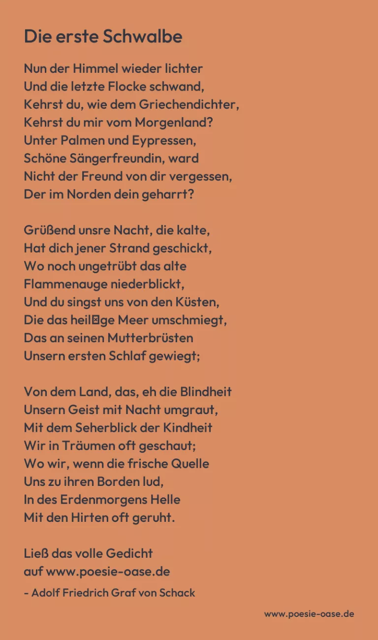 Die erste Schwalbe