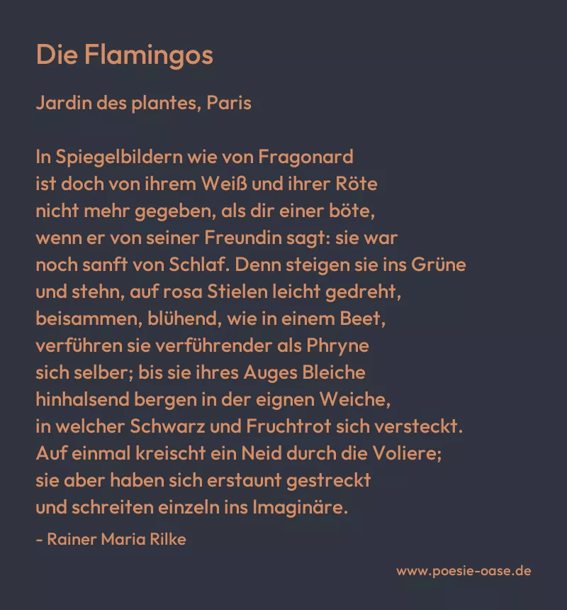 Gedicht: Die Flamingos von Rainer Maria Rilke