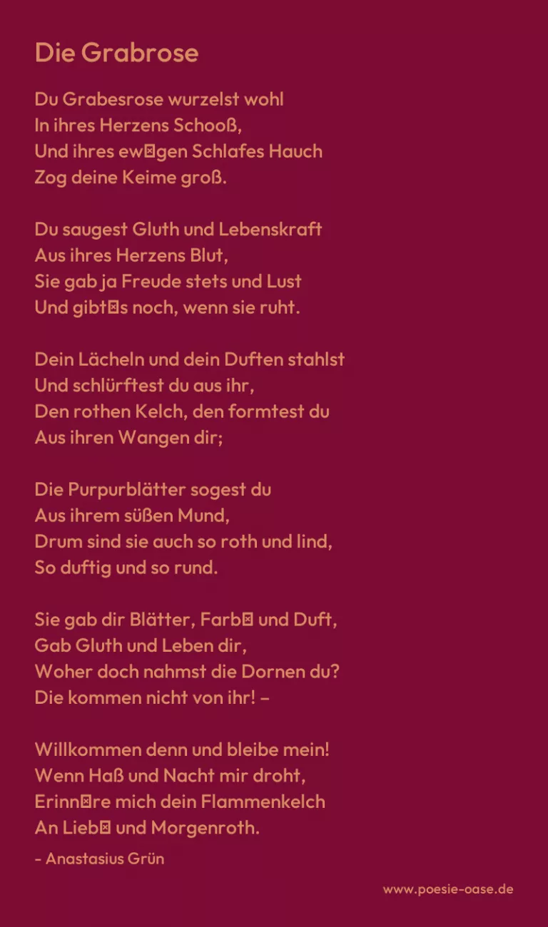 Die Grabrose