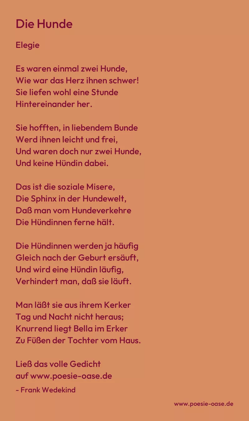 Gedicht: Die Hunde von Frank Wedekind