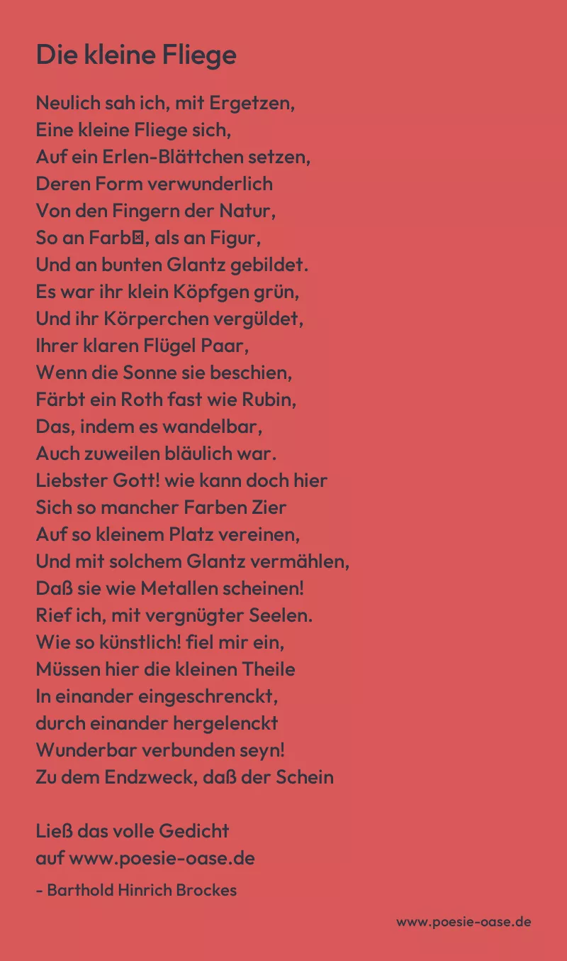 Gedicht: Die kleine Fliege von Barthold Hinrich Brockes