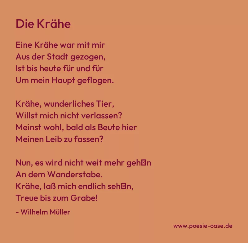 Gedicht: Die Krähe von Wilhelm Müller