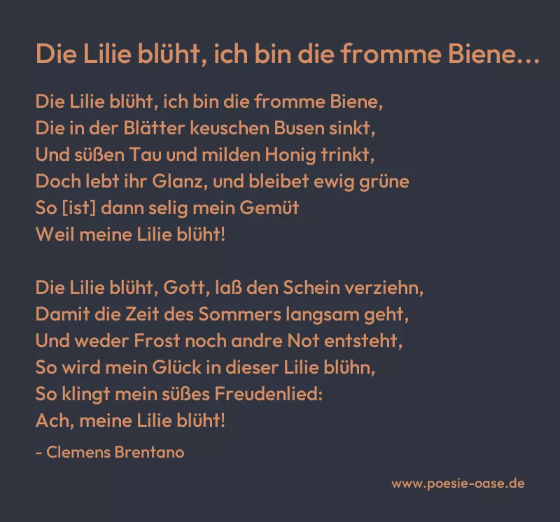Gedicht: Die Lilie blüht, ich bin die fromme Biene... von Clemens Brentano