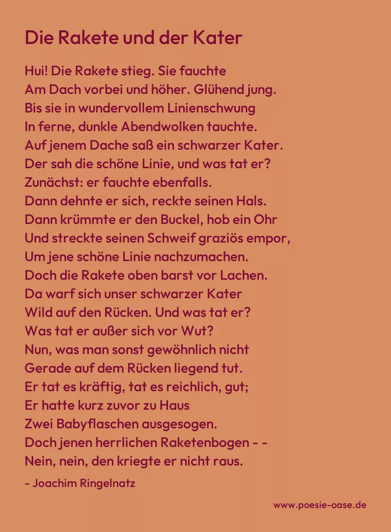 Gedicht: Die Rakete und der Kater von Joachim Ringelnatz