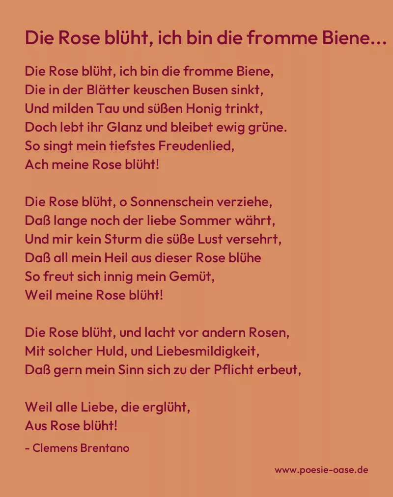 Gedicht: Die Rose blüht, ich bin die fromme Biene... von Clemens Brentano