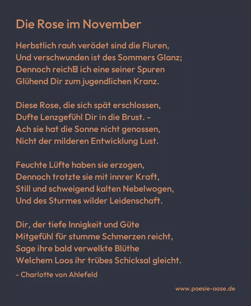 Gedicht: Die Rose im November von Charlotte von Ahlefeld