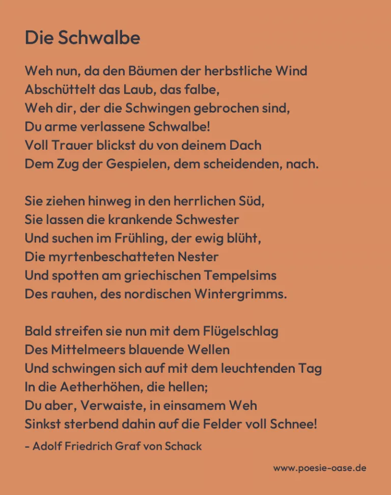 Die Schwalbe