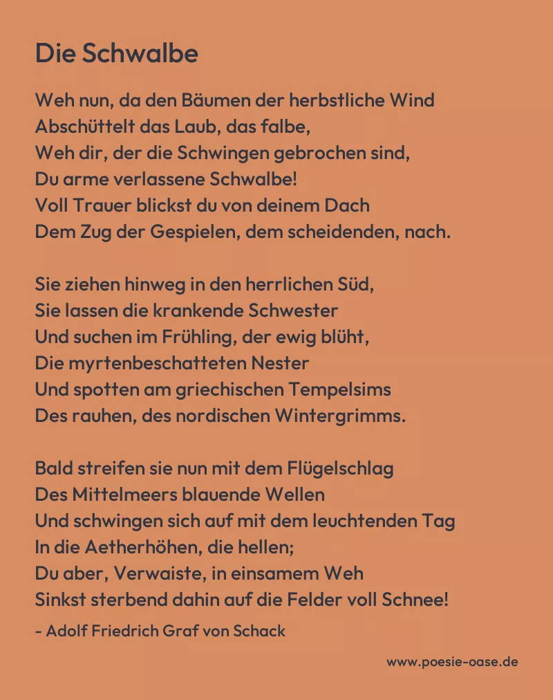 Gedicht: Die Schwalbe von Adolf Friedrich Graf von Schack