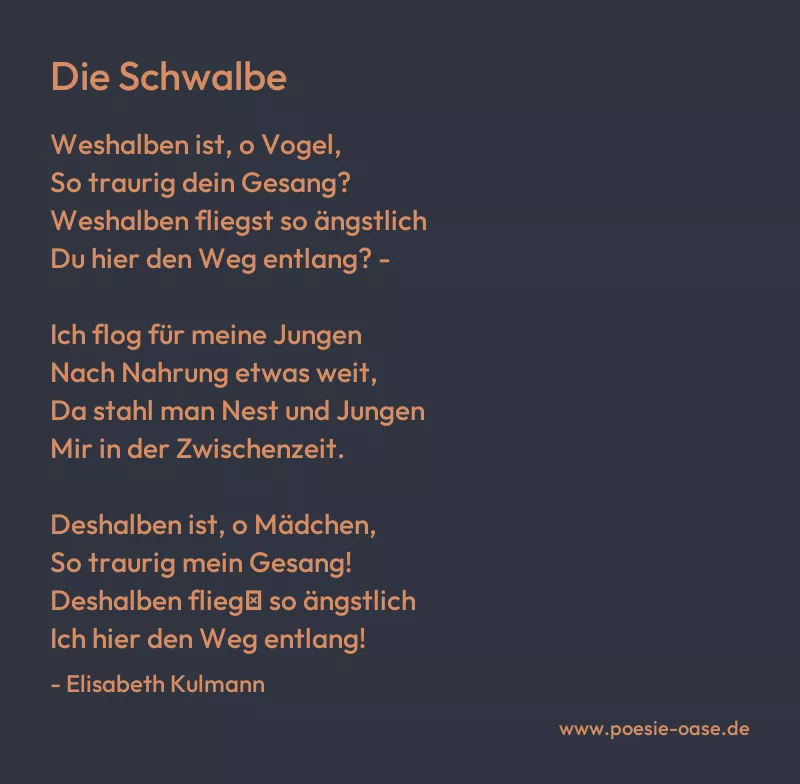 Gedicht: Die Schwalbe von Elisabeth Kulmann