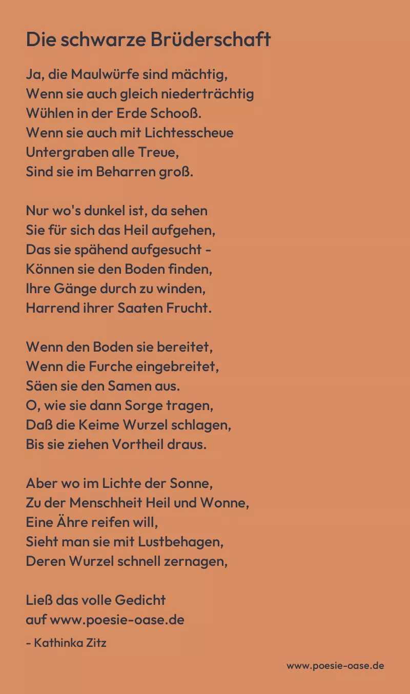 Gedicht: Die schwarze Brüderschaft von Kathinka Zitz