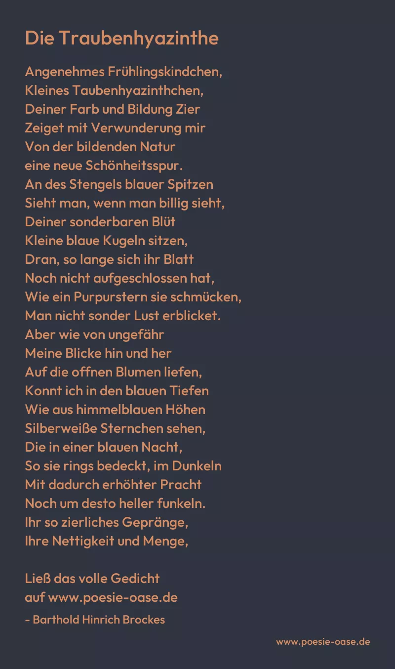 Gedicht: Die Traubenhyazinthe von Barthold Hinrich Brockes