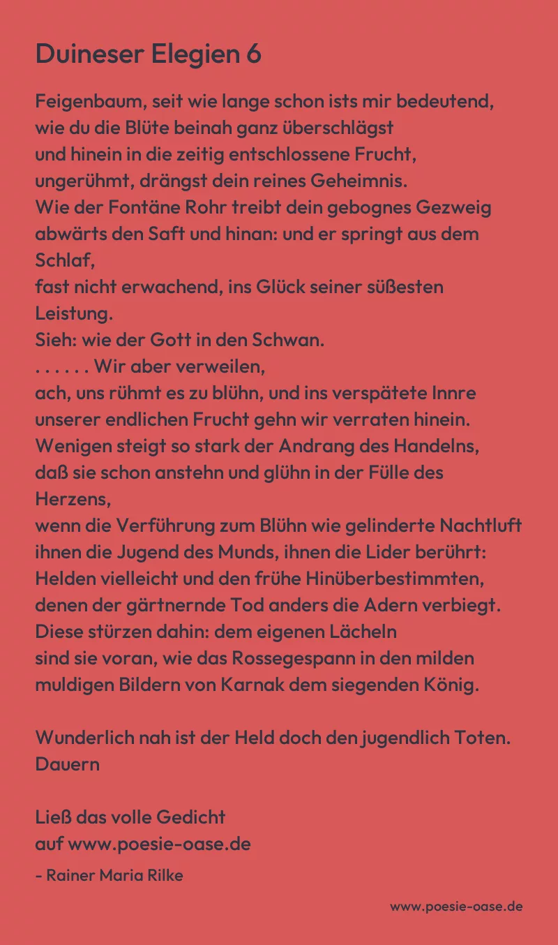 Gedicht: Duineser Elegien 6 von Rainer Maria Rilke