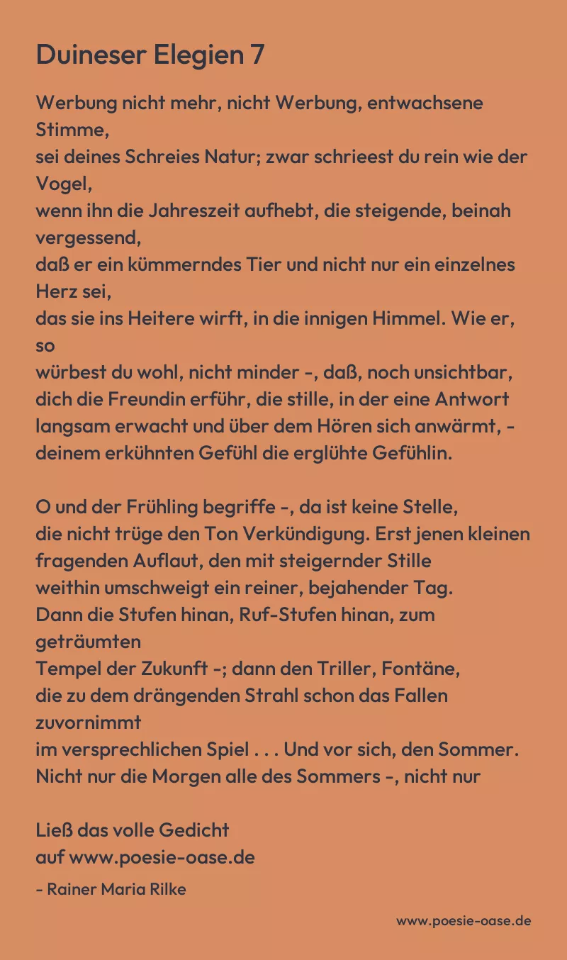 Gedicht: Duineser Elegien 7 von Rainer Maria Rilke
