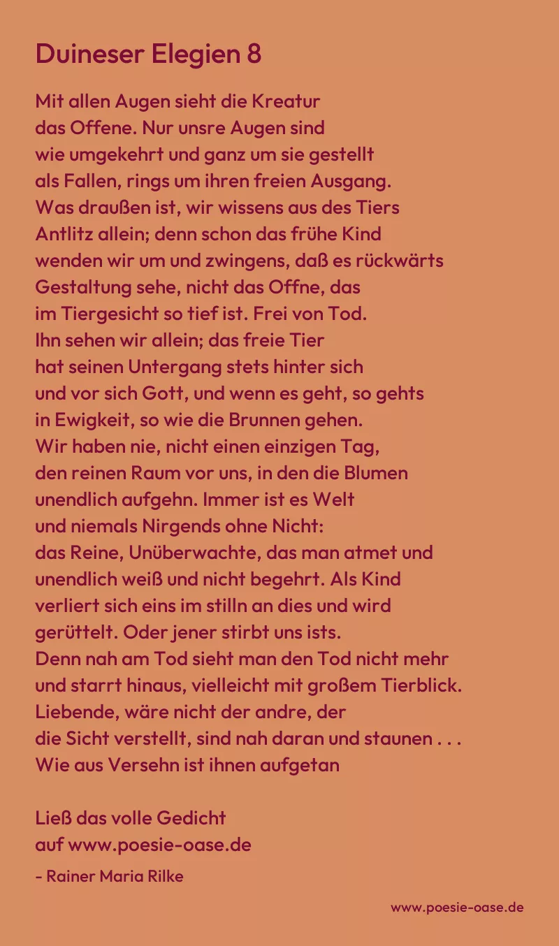Gedicht: Duineser Elegien 8 von Rainer Maria Rilke