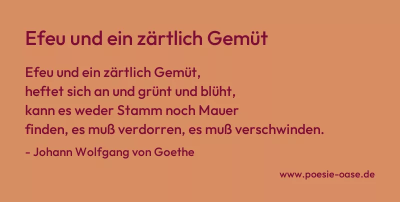 Gedicht: Efeu und ein zärtlich Gemüt von Johann Wolfgang von Goethe