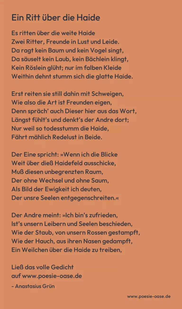 Ein Ritt über die Haide
